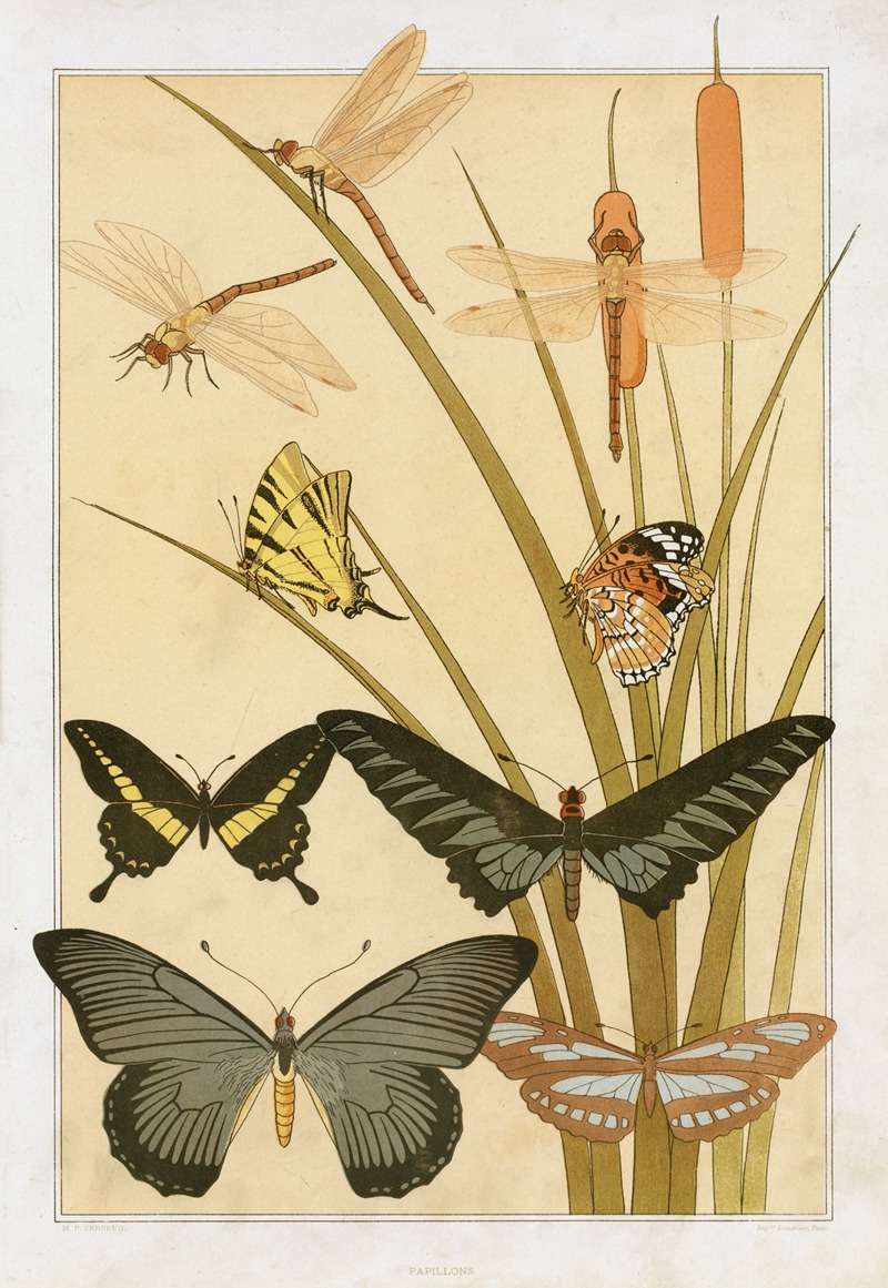 Бабочки by Морис Пиллар Вернёй, 1897 — digital art print download