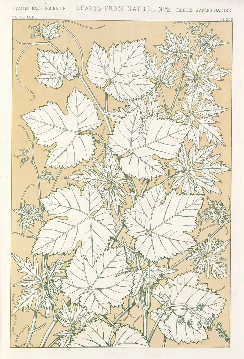Листья из природы №2 by Оуэн Джонс, 1856 — digital art print download