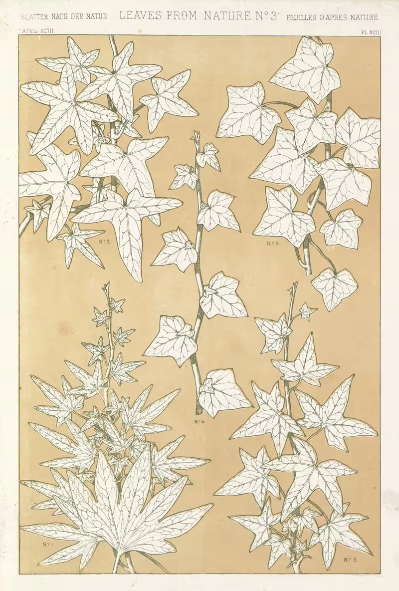 Листья из природы №3 by Оуэн Джонс, 1856 — digital art print download