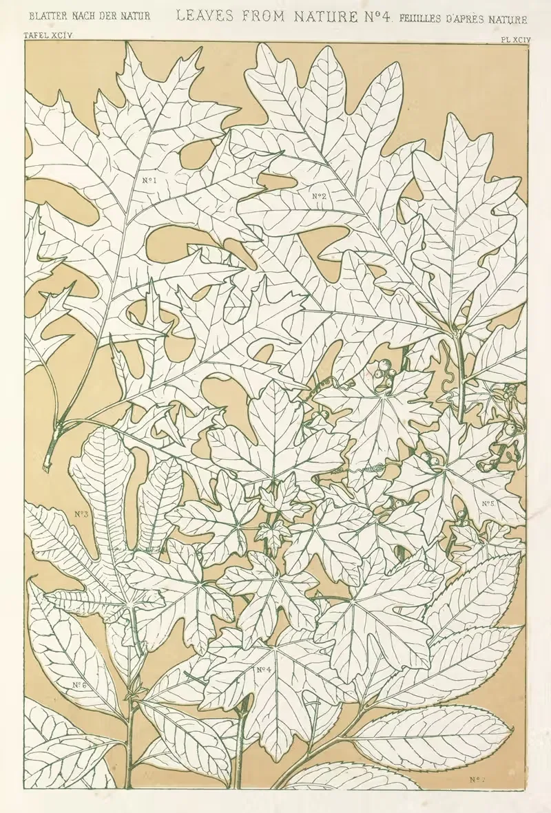 Листья из природы №4 by Оуэн Джонс, 1856 — digital art print download