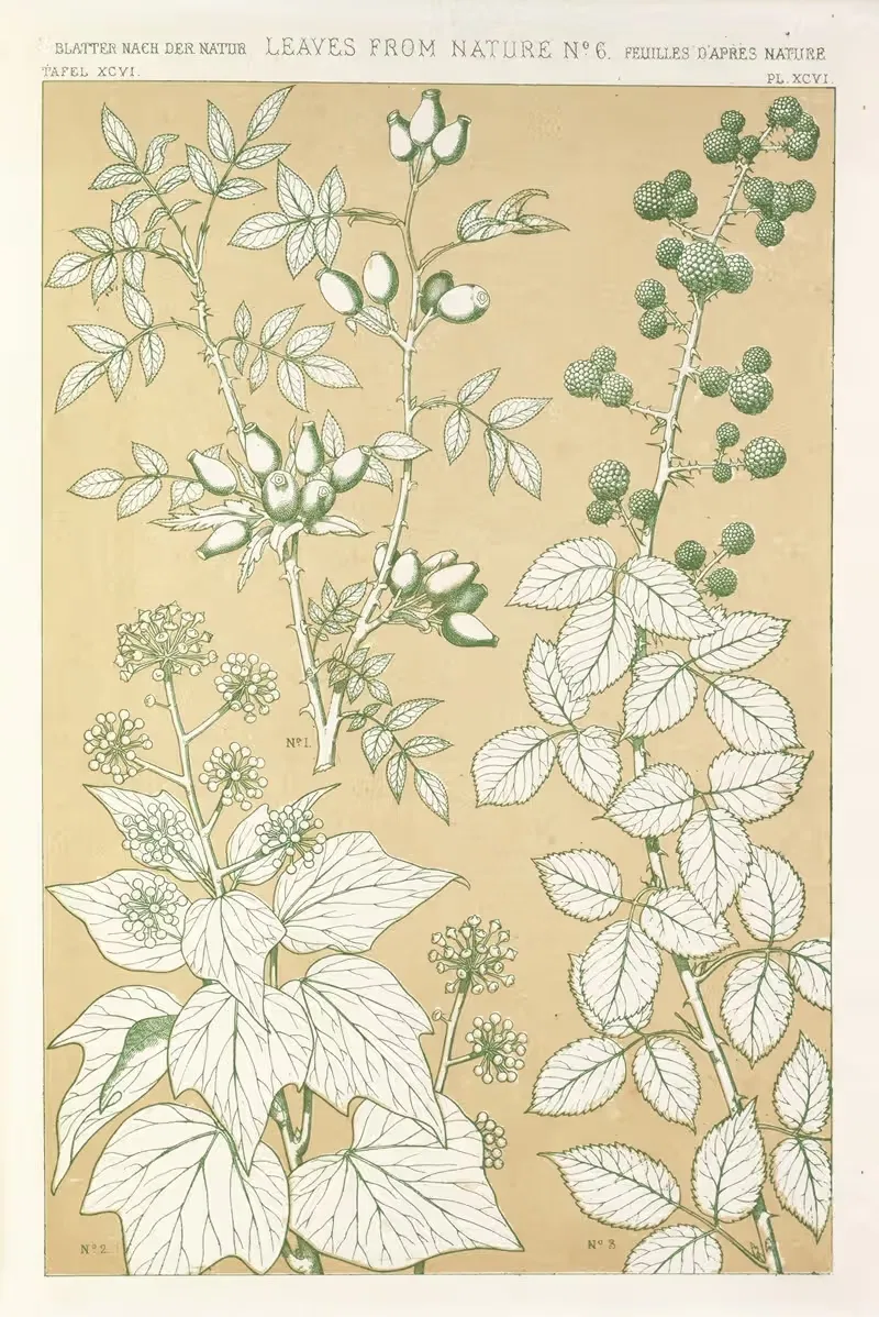 Листья из природы № 6 by Оуэн Джонс, 1856 — digital art print download