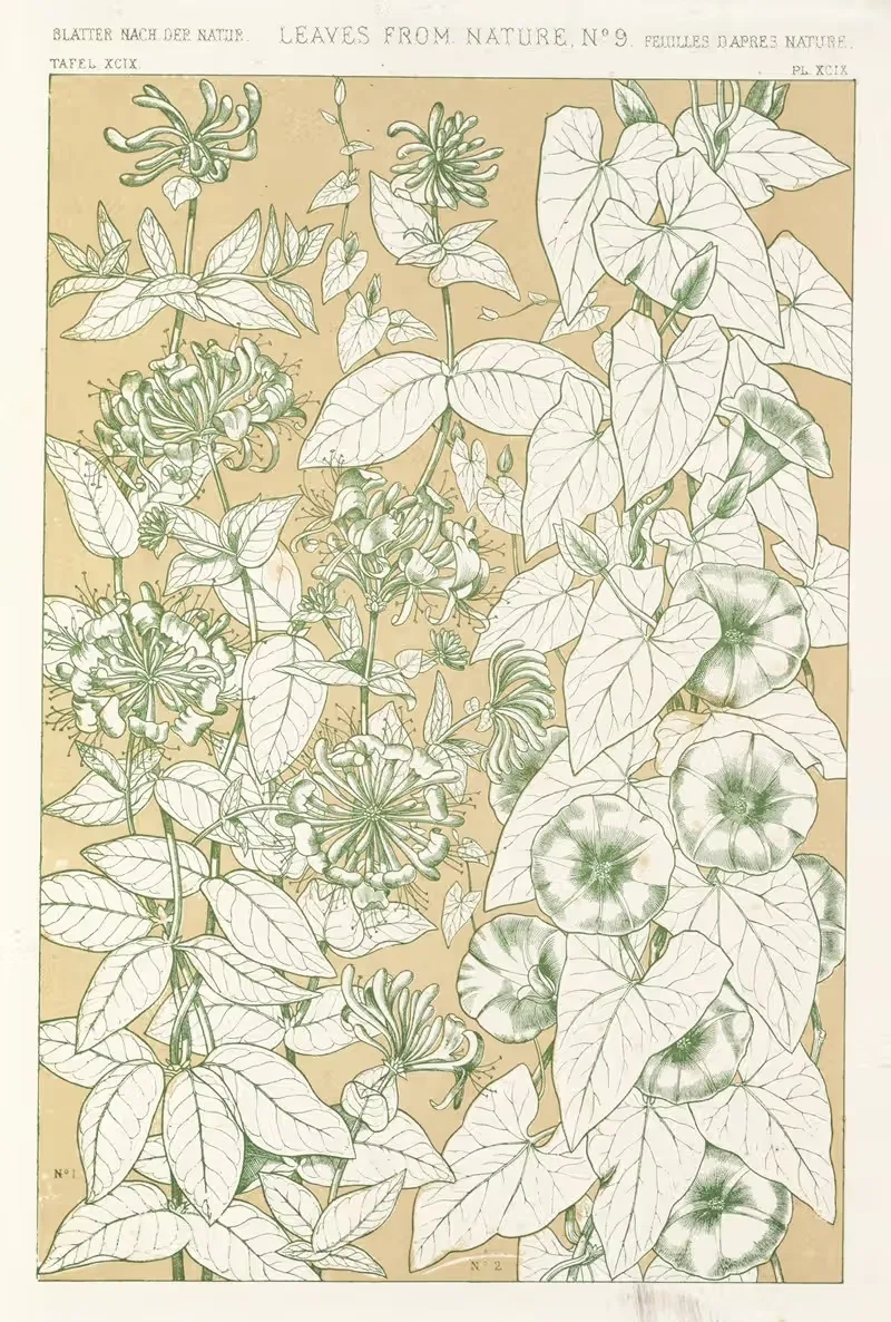 Листья из природы №9 by Оуэн Джонс, 1856 — digital art print download