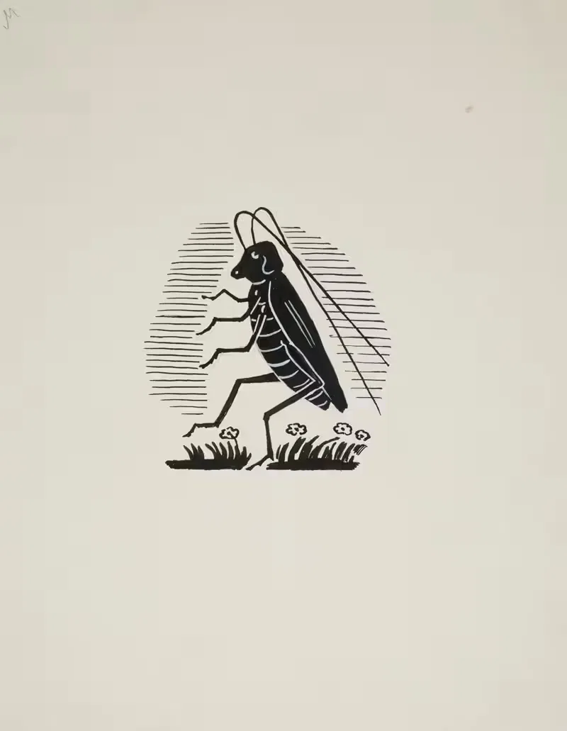 Projekt winiety – konik polny — Anonymous