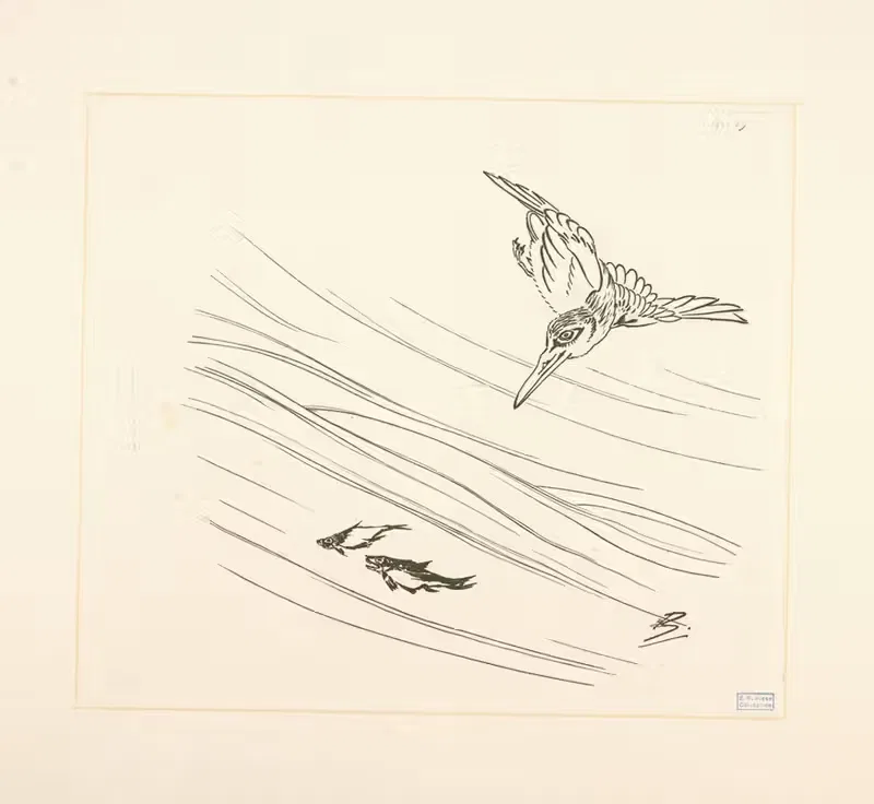 Martin-pêcheur, deux petits poissons. — Félix Bracquemond