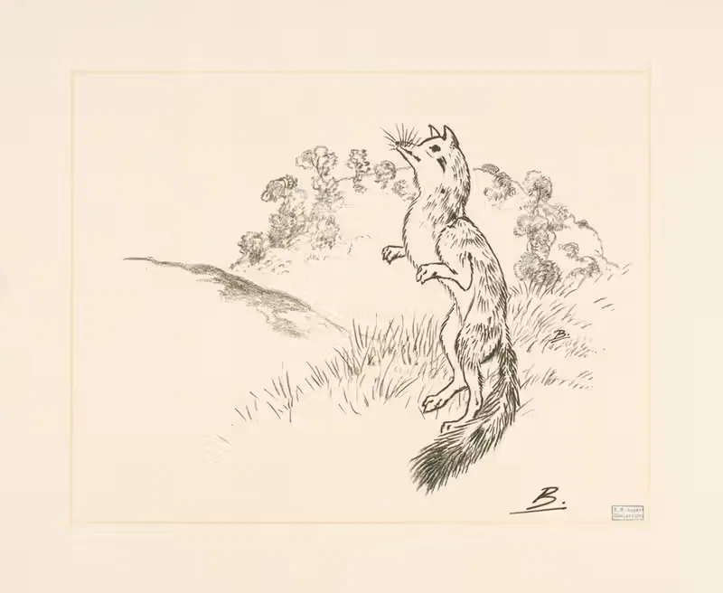 Un rennard sur ses pattes de derrière. — Félix Bracquemond