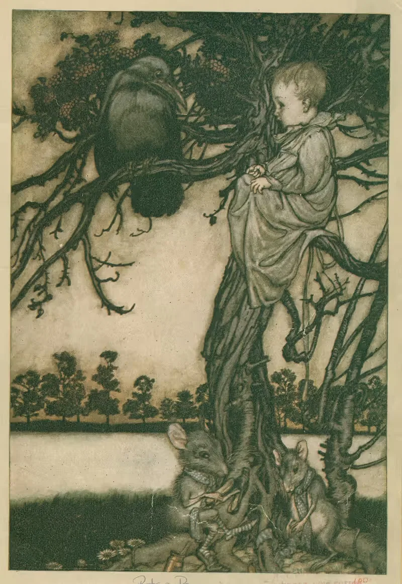 Поставил его странное дело перед старым Соломоном Коу by Артур Рэкхэм, 1913 — digital art print download