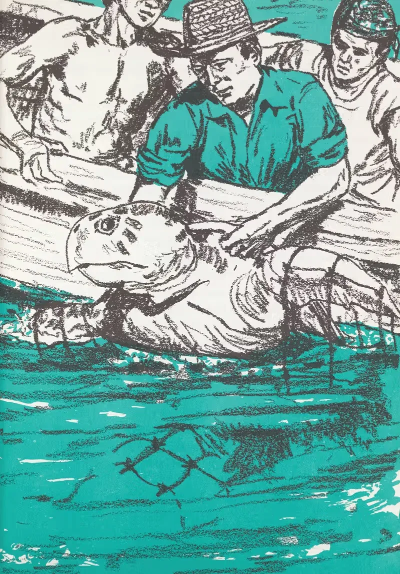 Знакомство с Британскими Вест-Индиями, пл. 15 — Шеннон Стирнвейс