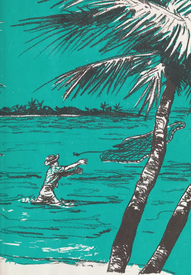 Знакомство с Британскими Вест-Индиями Пл.3 by Шеннон Стирнвейс, 1962 — digital art print download
