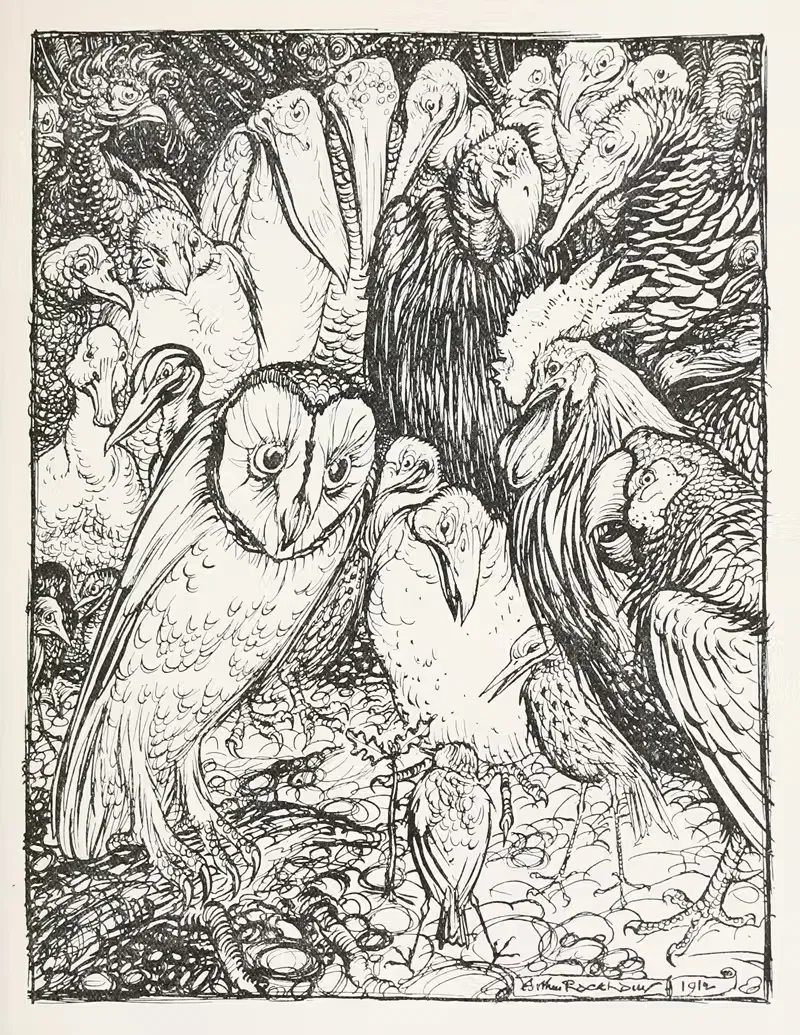 The Owl and the Birds — Артур Рэкхэм