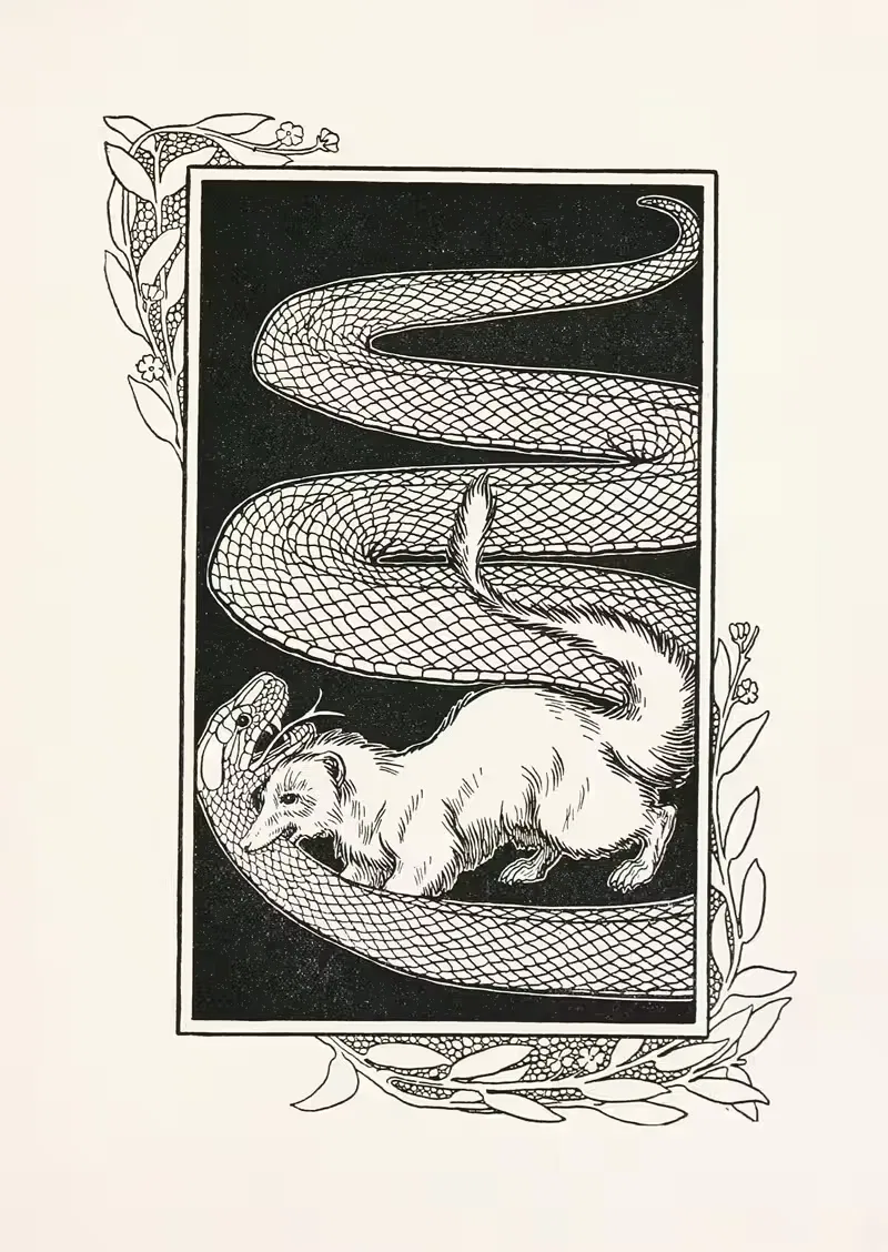 A hundred anecdotes of animals pl 080 — Percy J. Billinghurst
