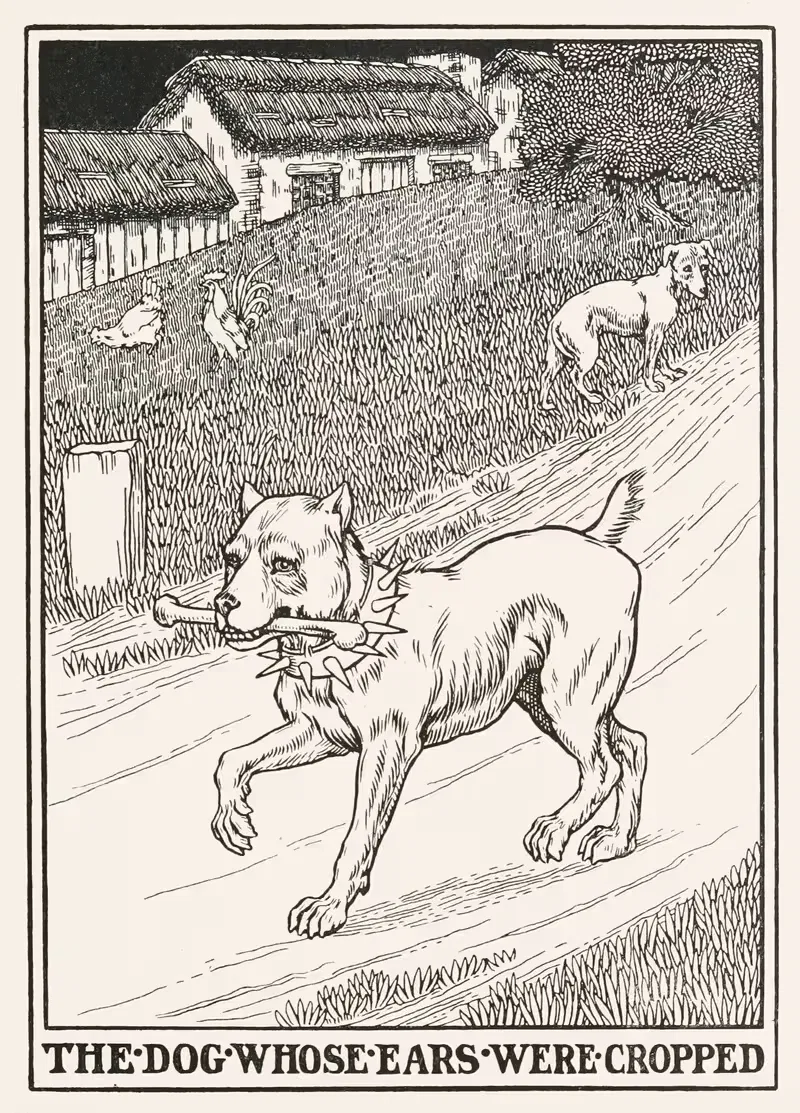 The Dog whose Ears were Cropped by Percy J. Billinghurst, 1900 — digital art print download