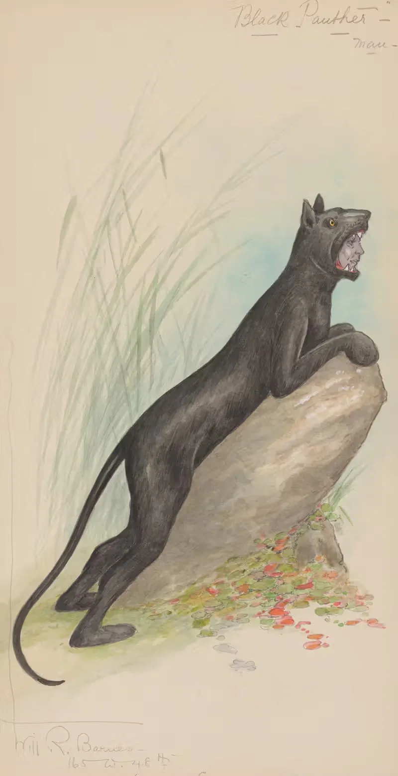 Black Panther-Man by Will R. Barnes, 1917 — digital art print download