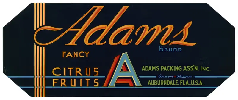 Adams Brand Fancy Citrus Fruit Label — Anonymous