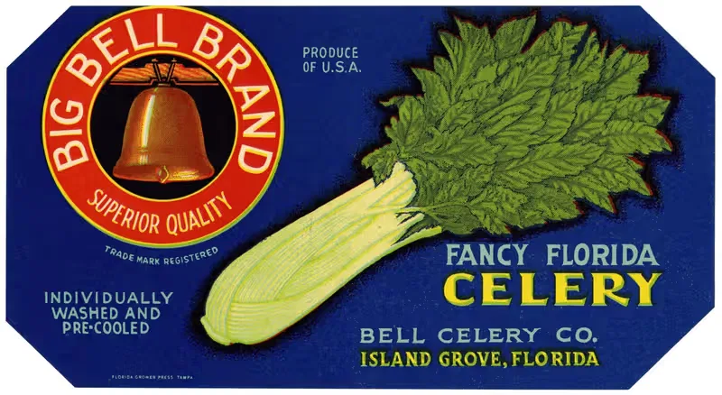 Big Bell Brand Fancy Florida Celery Label — Anonymous