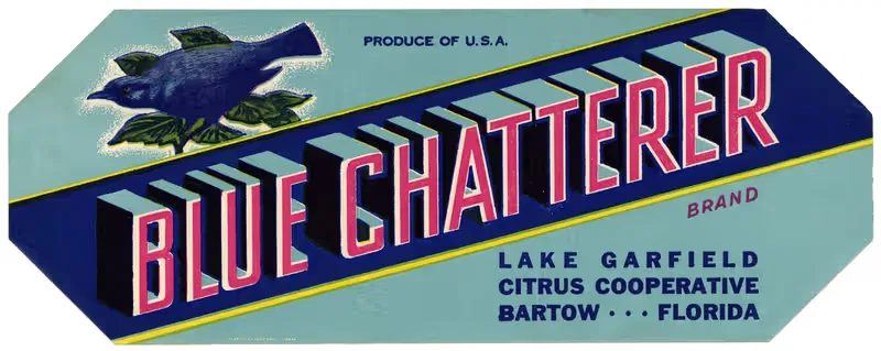 Этикетка цитрусовых Blue Chatterer Brand by Аноним, 1930-1950 — digital art print download