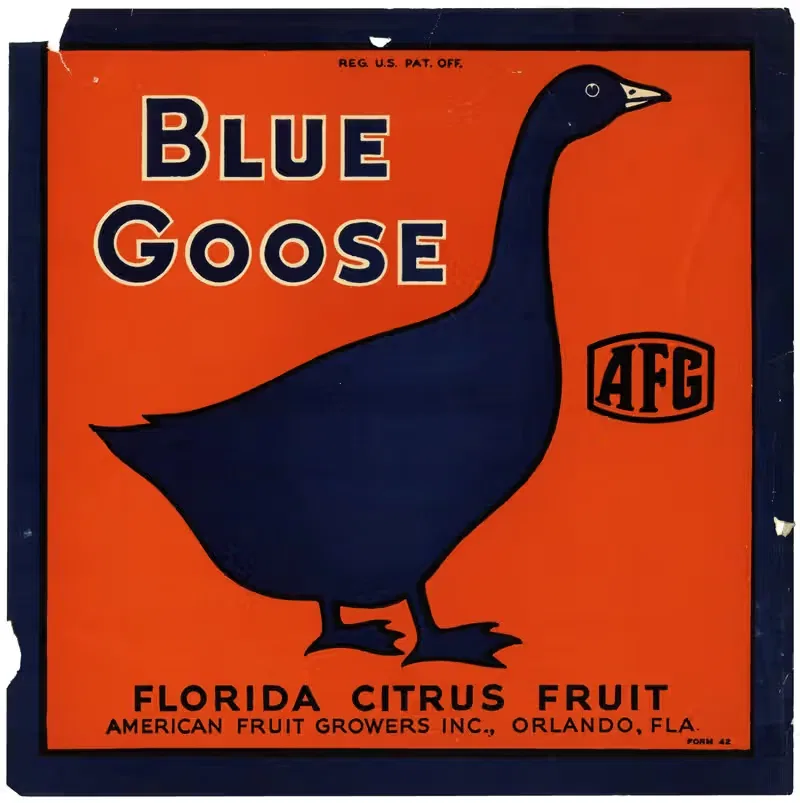 Этикетка цитрусовых Blue Goose Florida by Аноним — digital art print download