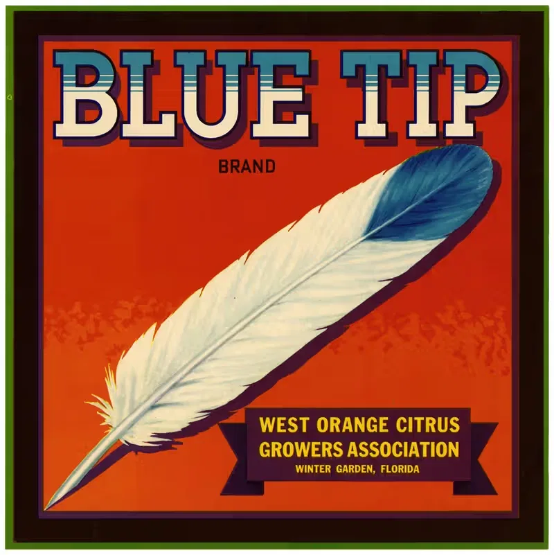 Этикетка цитрусовых Blue Tip Brand by Аноним, 1930-1950 — digital art print download