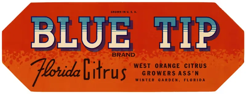 Этикетка цитрусовых Blue Tip Brand Florida by Аноним, 1930-1950 — digital art print download
