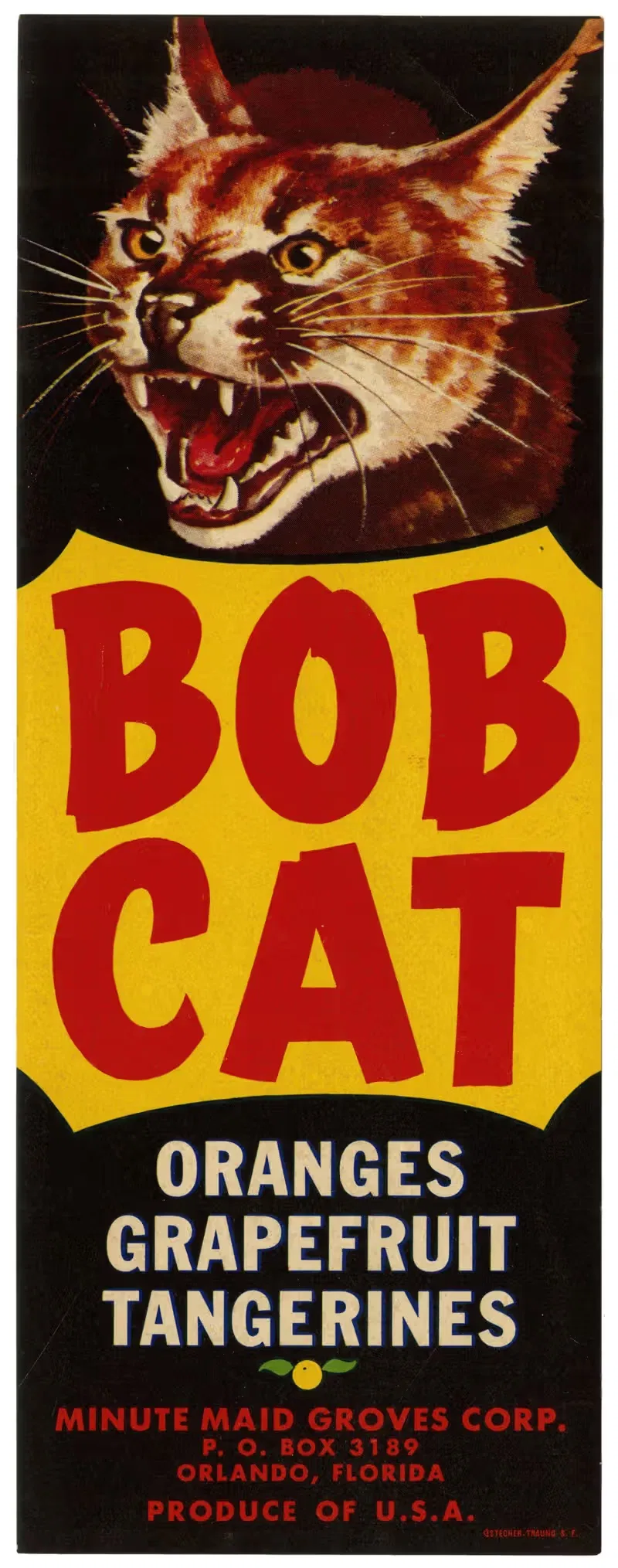 Bob Cat Citrus Label by Anonymous, 1930-1950 — digital art print download