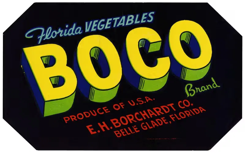 Boco Brand Florida Vegetables Label by Anonymous, 1930-1950 — digital art print download