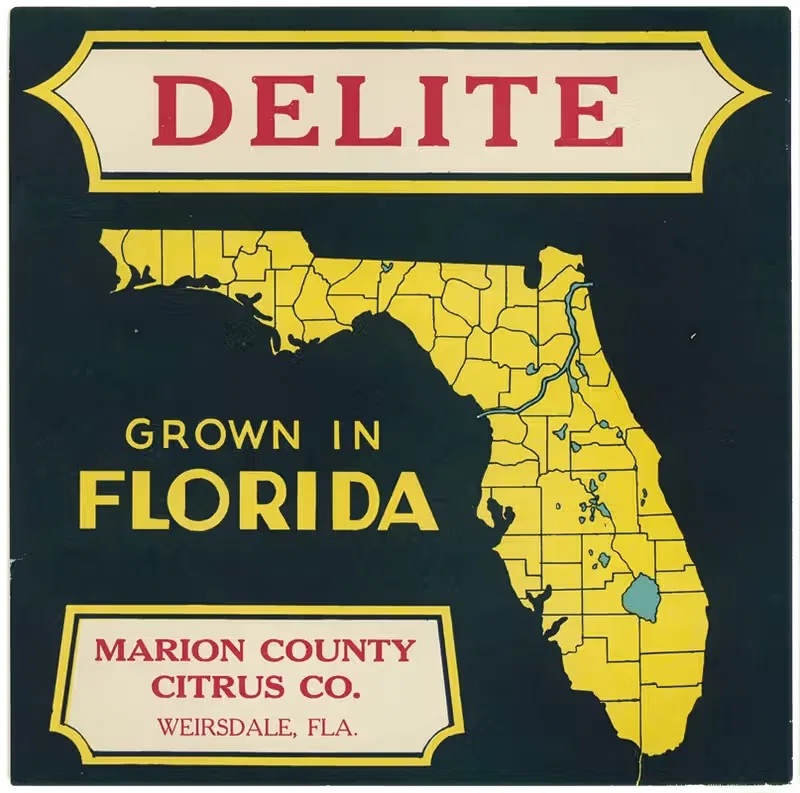 Citrus Label for Delite – Black and Yellow — Anonymous