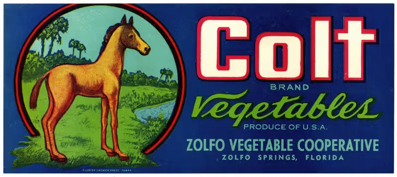Этикетка овощей Colt Brand by Аноним, 1930-1950 — digital art print download