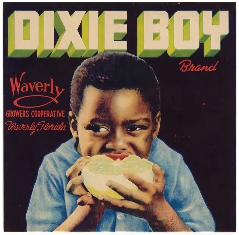 Этикетка цитрусовых Dixie Boy Brand by Аноним, 1941 — digital art print download
