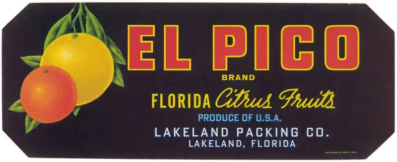 El Pico Brand Florida Citrus Fruit Label — Anonymous