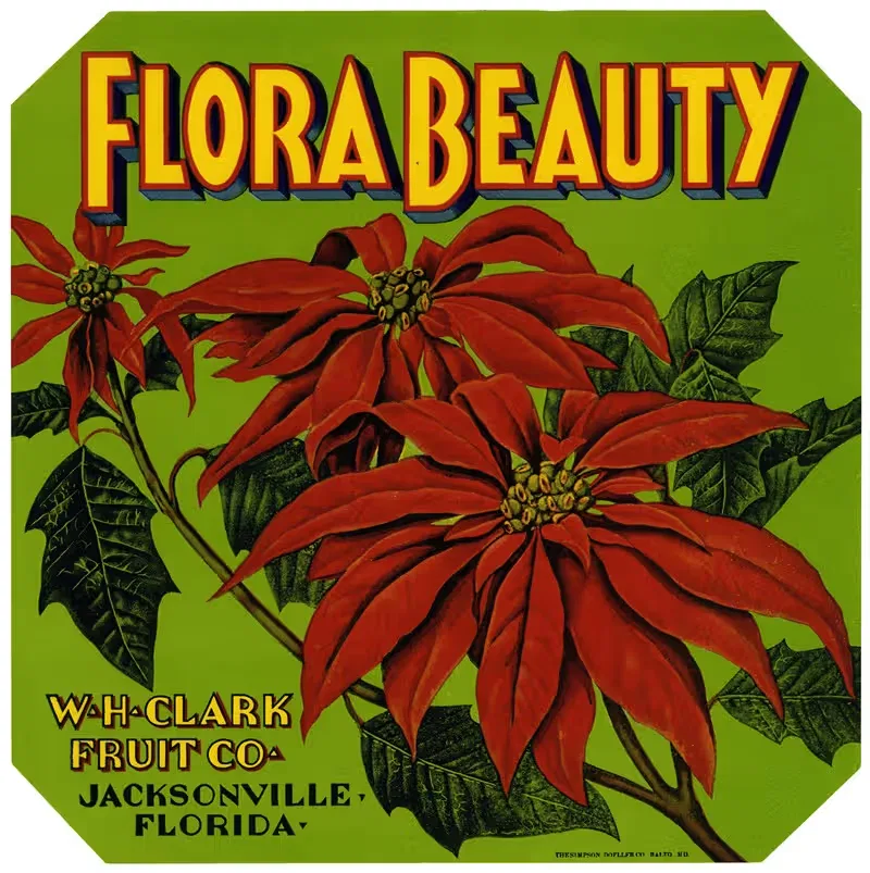 Этикетка Flora Beauty Produce by Аноним, 1930-1950 — digital art print download