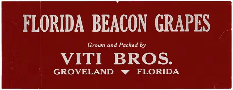 Florida Beacon Grapes Label by Anonymous, 1930-1950 — digital art print download