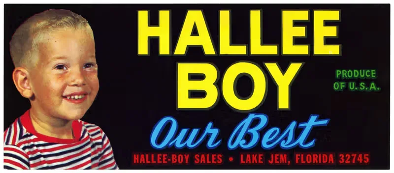 Этикетка продукции Hallee Boy by Аноним, 1930-1950 — digital art print download