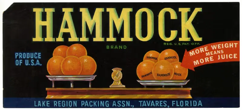 Этикетка цитрусовых Hammock Brand by Аноним, 1930-1950 — digital art print download