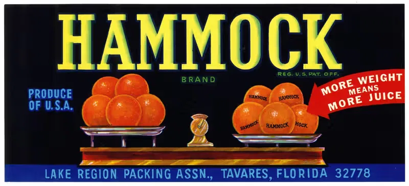 Этикетка цитрусовых Hammock Brand by Аноним, 1930-1950 — digital art print download