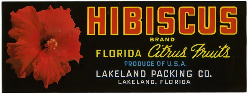 Hibiscus Brand Florida Citrus Fruit Label — Anonymous