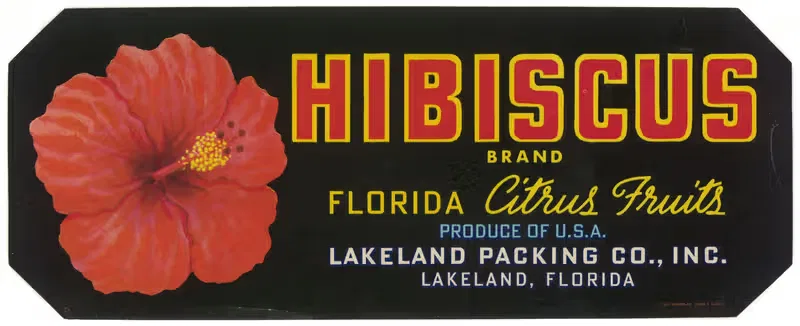 Hibiscus Brand Florida Citrus Fruit Label — Anonymous