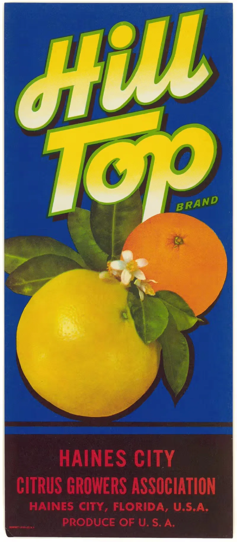 Этикетка цитрусовых Hill Top Brand by Аноним, 1930-1950 — digital art print download