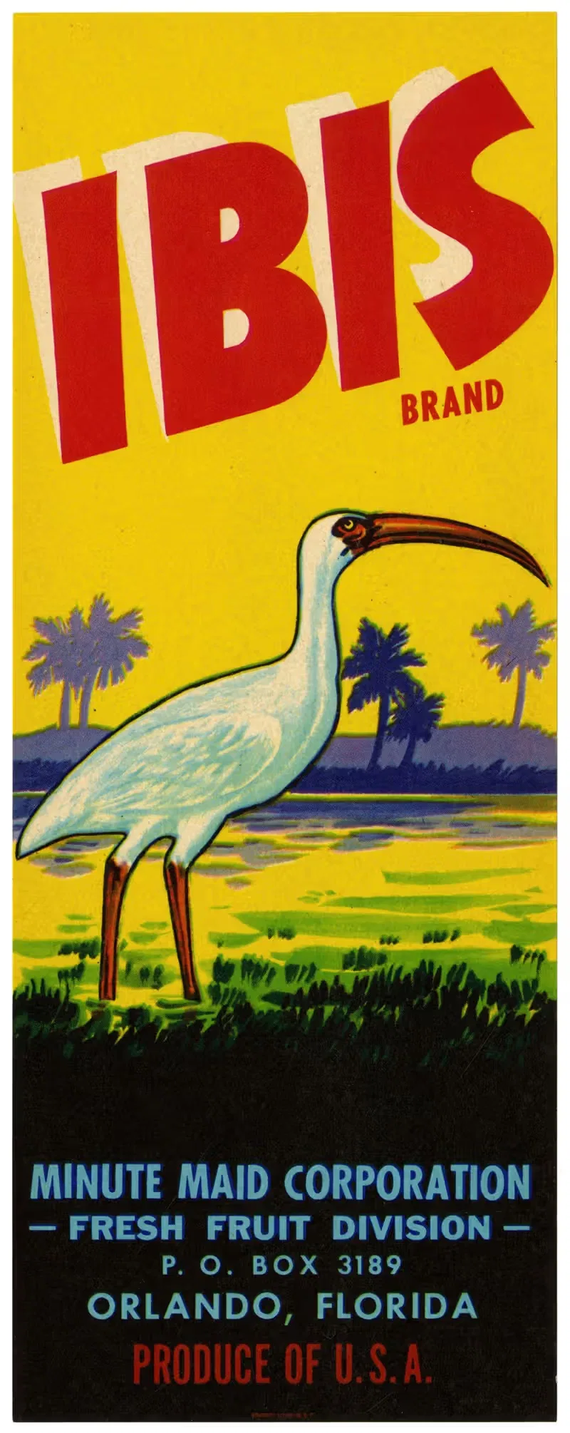 Лейбл фруктов Ибис by Аноним, 1930-1950 — digital art print download