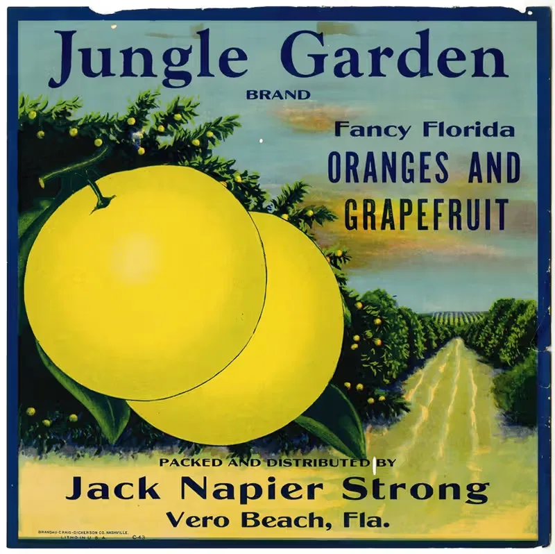 Jungle Garden Brand Citrus Label — Anonymous