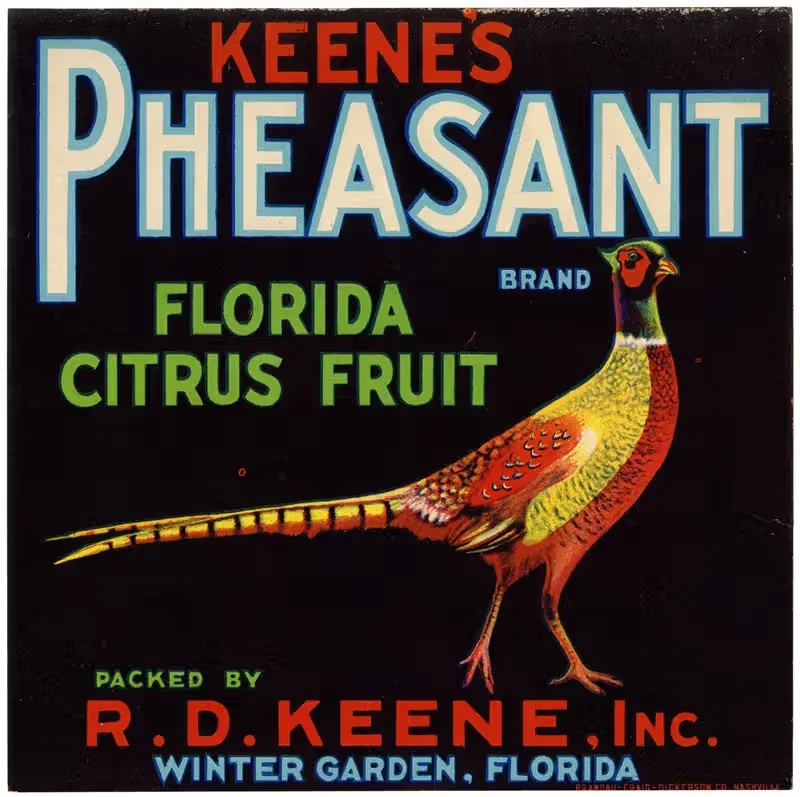 Keene's Pheasant Brand Florida Citrus Fruit Label — Anonymous