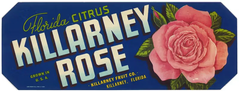 Killarney Rose Florida Citrus Label by Anonymous, 1930-1950 — digital art print download