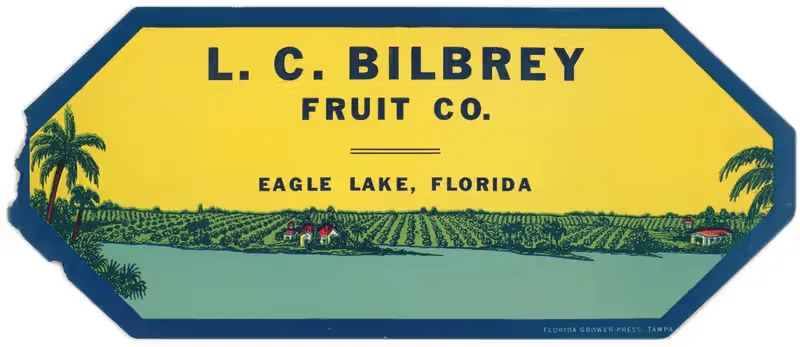 Этикетка компании L.C. Bilbrey Fruit by Аноним, 1930-1950 — digital art print download