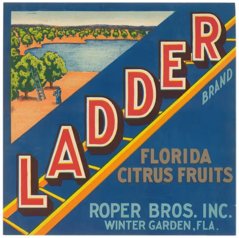 Ladder Brand Florida Citrus Fruit Label — Anonymous