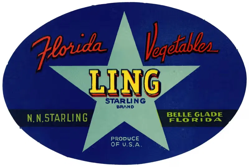 Ling Starling Brand Florida Vegetables Label — Anonymous