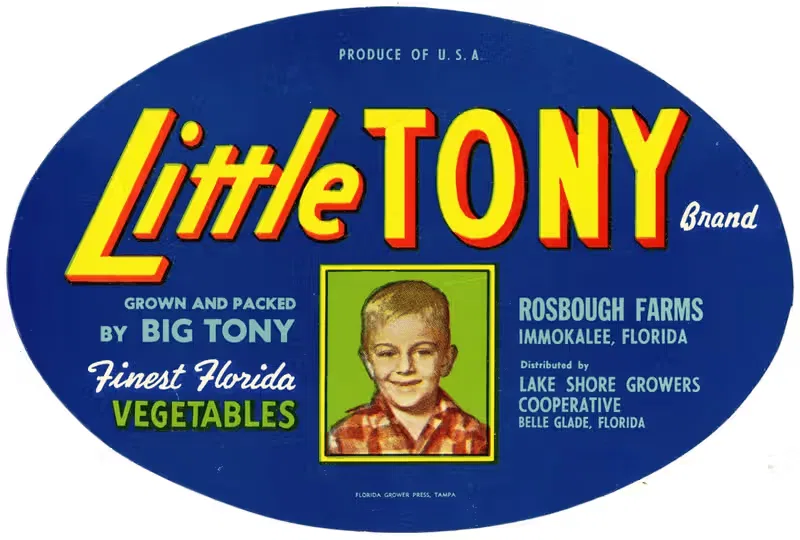 Little Tony Brand Vegetable Label — Anonymous