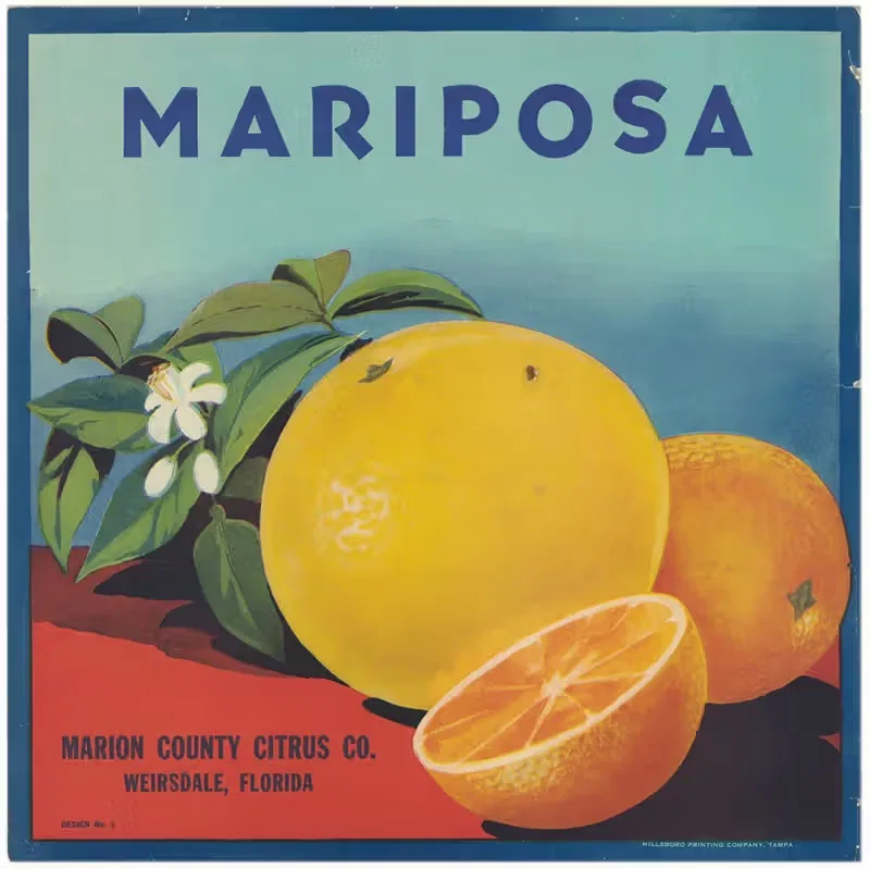 Этикетка цитрусовых "Марипоса by Аноним, 1930-1950 — digital art print download