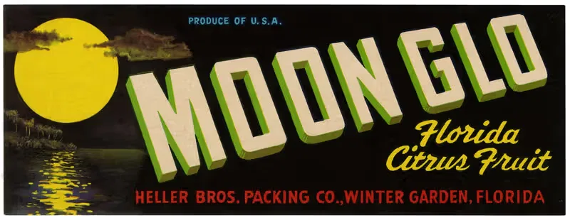 Этикетка цитрусовых фруктов Moon Glo Florida by Аноним, 1930-1950 — digital art print download