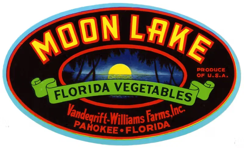 Moon Lake Brand Florida Vegetables Label — Anonymous