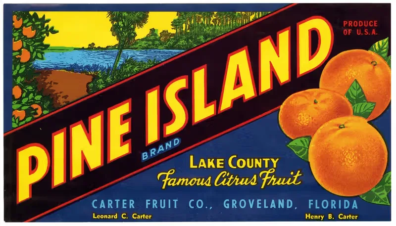 Этикетка цитрусовых Pine Island Brand by Аноним, 1930-1950 — digital art print download