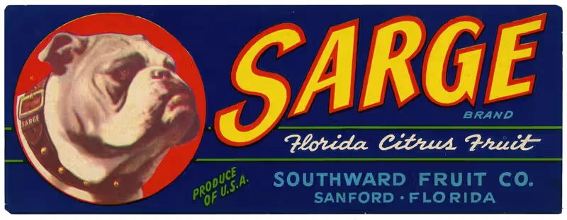 Этикетка цитрусовых фруктов Sarge Brand Florida — Аноним