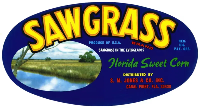 Sawgrass Brand Florida Sweet Corn Label — Anonymous